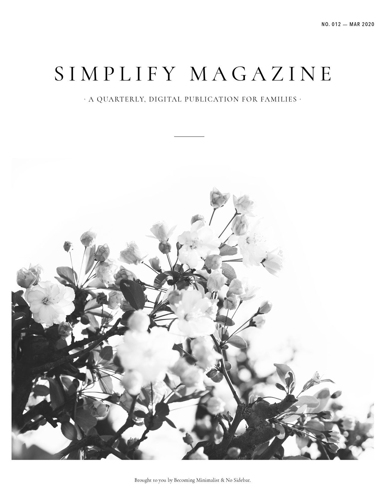 Simplify Magazine Issue #012
